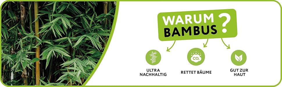 dc1d7334-bd04-46c7-8434-53e4f27c428c.__CR001940600_PT0_SX970_V1___